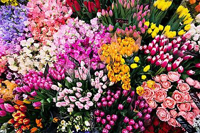 报告老板，现在就加班！《职场浮生记》抢先体验版现已上线